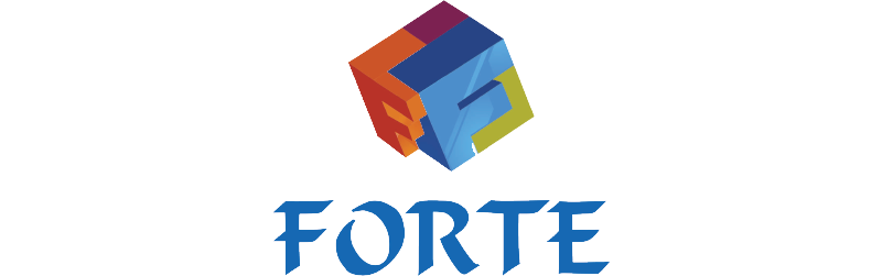 Forte IT Solutions